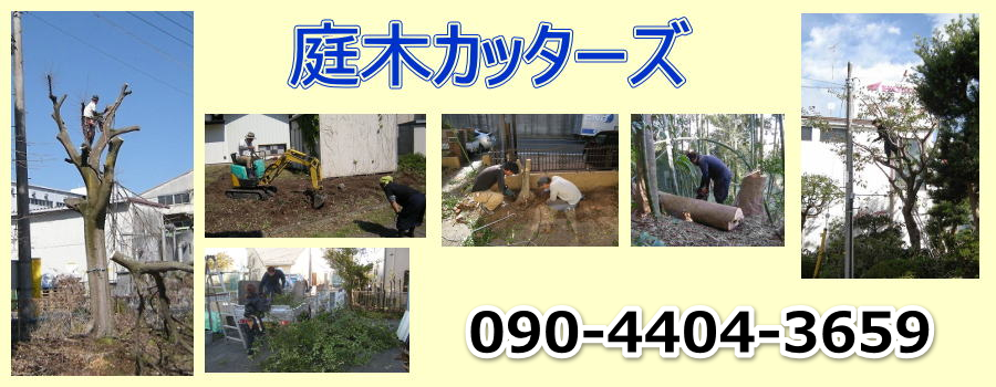 庭木カッターズ | 名古屋市中区の庭木の伐採を承ります。